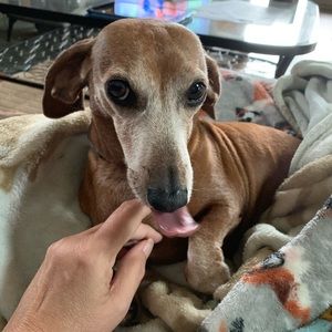 Meet your Posher, Beth